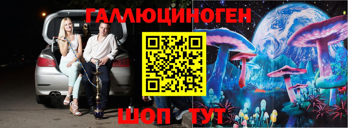 Галлюциногенные грибы Psilocybine cubensis  Галлюциногенные грибы прущие грибы  Краснокаменск  Вход с VPN 
